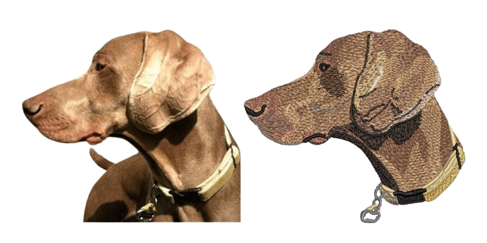 Embroidery Digitizing Sample